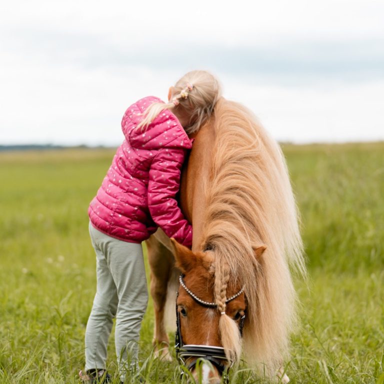 Mädchen umarmt ein Pony auf einer grünen Wiese unter bewölktem Himmel.